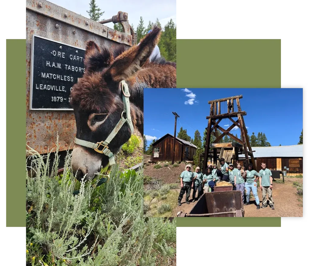 Volunteers and a Burro at The Matchless Mine